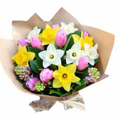 Beautiful Spring Day