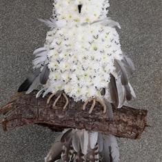 Owl tribute 